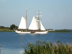 Bild 397