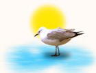 Sonne2