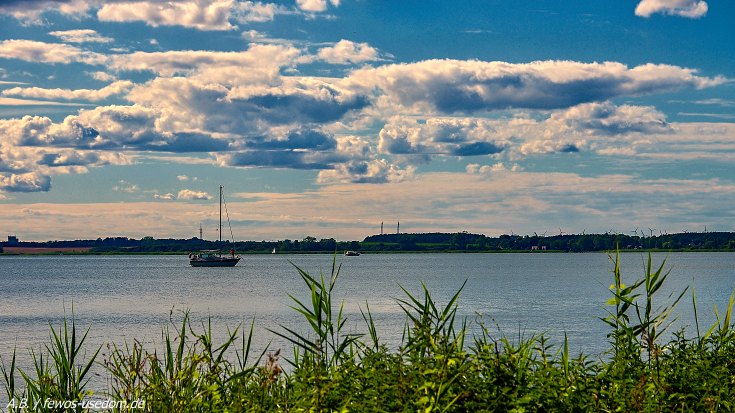 der Peenestrom auf Usedom