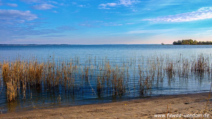 Bei Neuendorf auf dem gnitz im Achterland