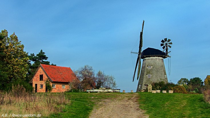 Holländer Windmühle bei benz auf Usedom