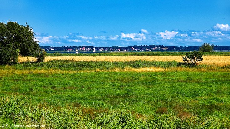 Weideland am Achterwasser mit Blick nach Ückeritz