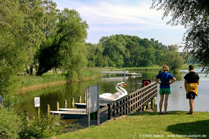 Der Kölpinsee - ein Naturidyll auf Usedom