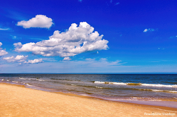 der feinsandige Strand in Trassenheide