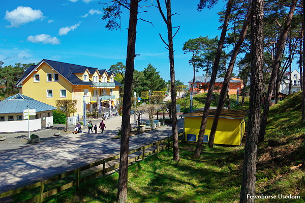 Zugang zum Strand durch den Küstenwald