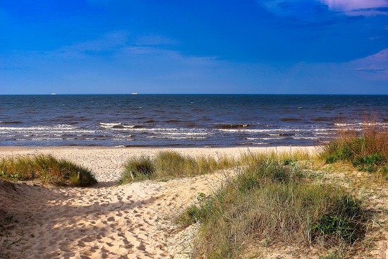 Dünenlandschaft am Ückeritzer Ufer