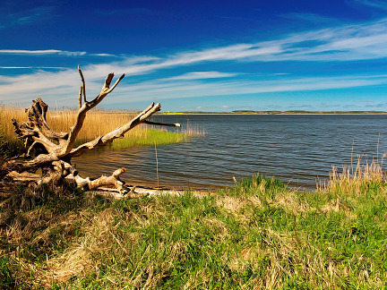 Ferienwohnungen auf der Insel Usedom im Achterland.