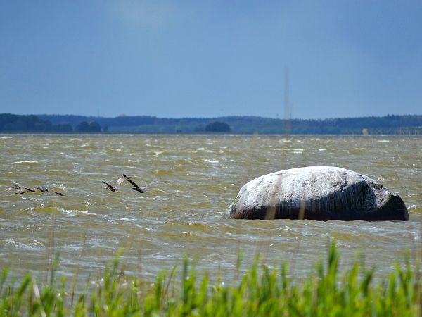 achterwasser-usedom-stein