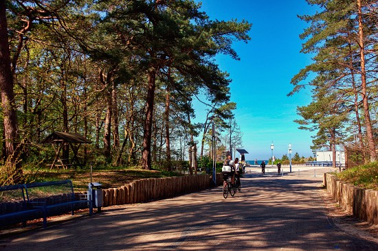 zempin-usedom-wald zempin-usedom-wald