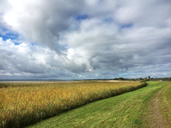 deich-achterland-usedom