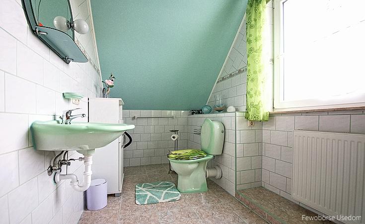 Badezimmer der Fewo mit Dusche