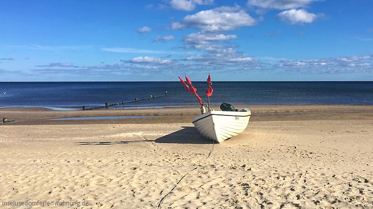 ferienwohnung-insel-usedom-vogelh3