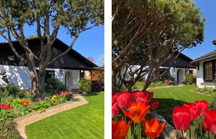 ferienwohnung-usedom-albatros7