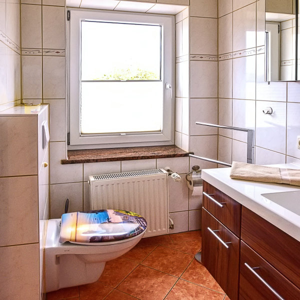 fewo-bansin-usedom-rotkehlchen10