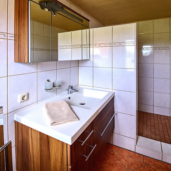 fewo-bansin-usedom-rotkehlchen4