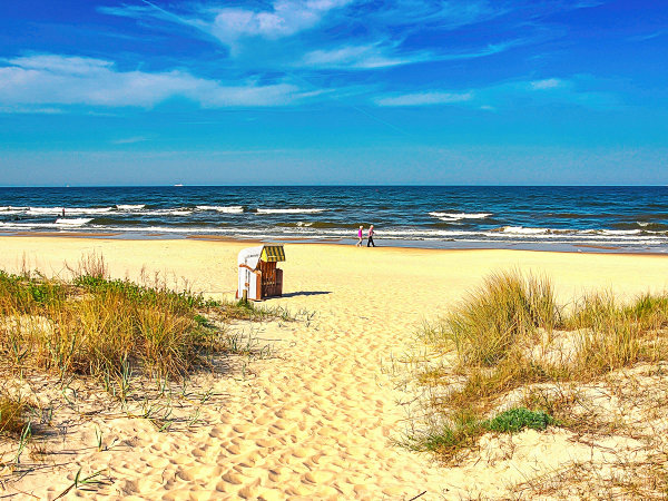 fewo-bansin-usedom-vogel-strand