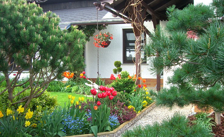 fewo-usedom-bansin-seeschwalbe-2