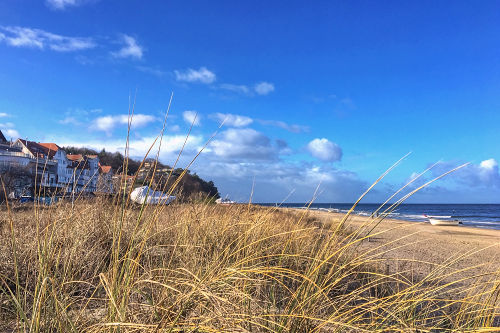 usedom-ostsee-bansin-vogel