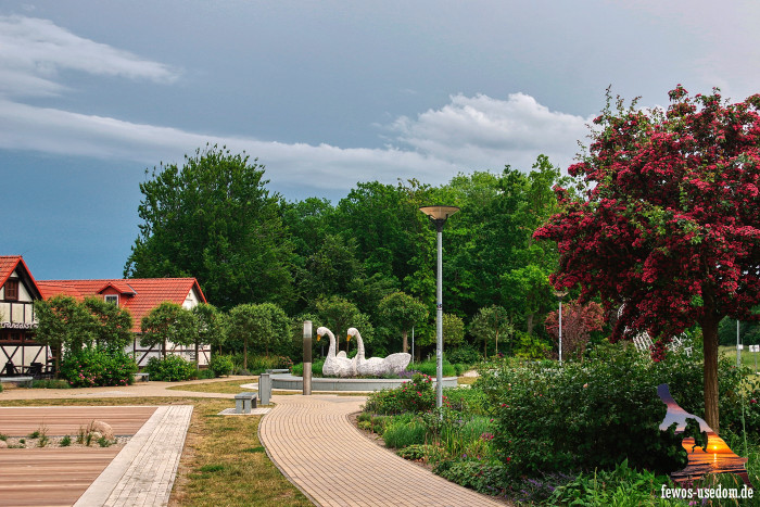 Koelpinsee-Promenade-Schwaene