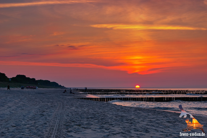 Koelpinsee-Usedom-Sonnenuntergang