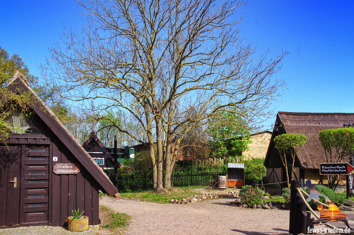 Koserow-Usedom-Salzhuetten