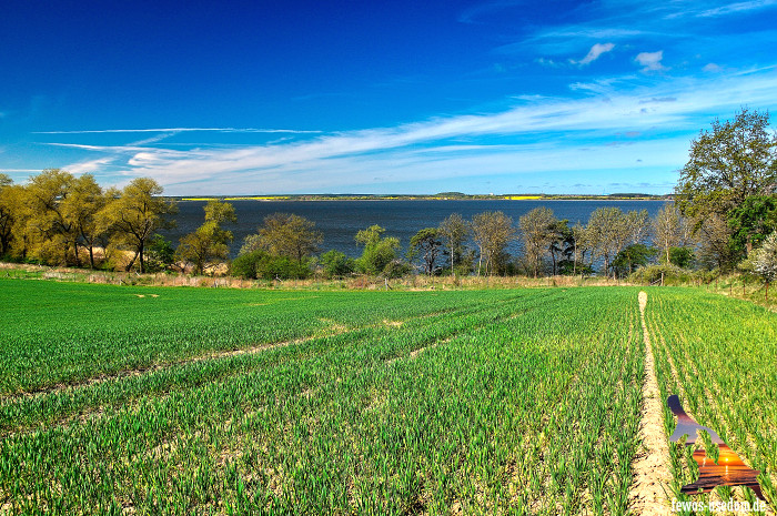 Achterland-Usedom-Achterwasser-Feld