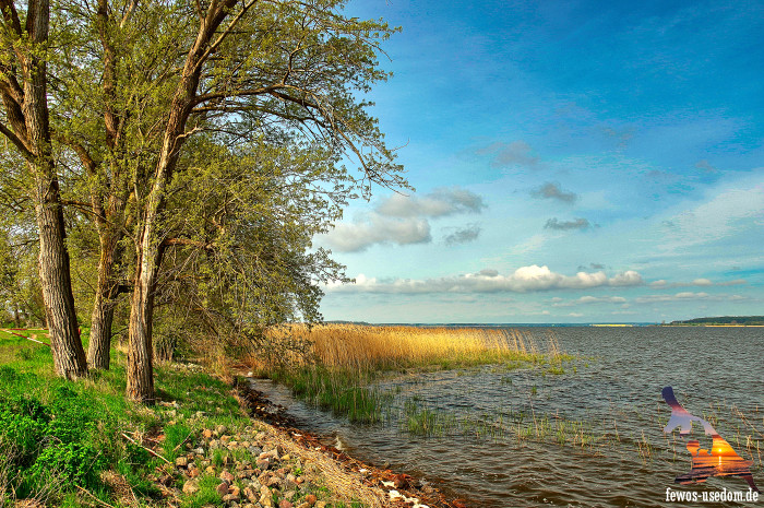 Achterland-Warthe-Achterwasser