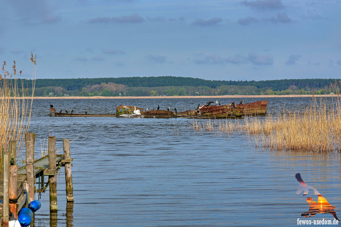 Achterland-Warthe-Usedom