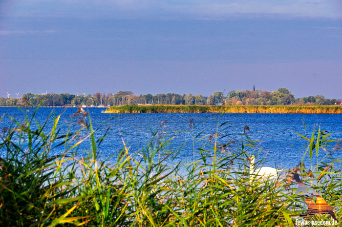 Achterwasser-Usedom-Krummin
