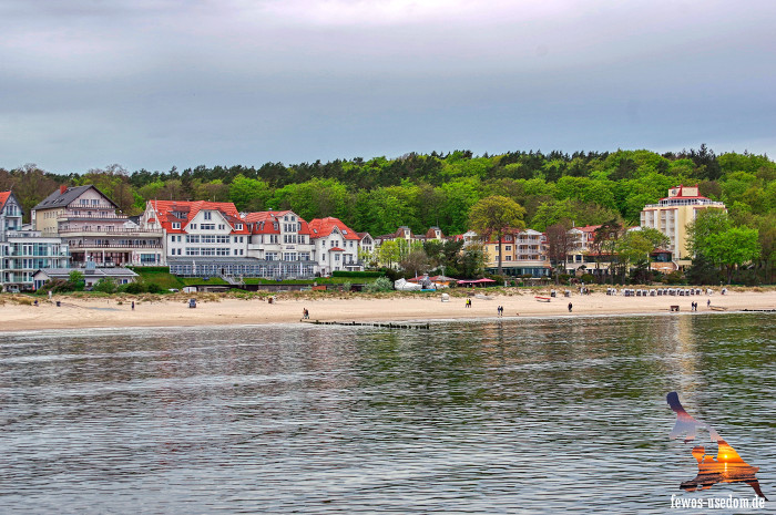 Bansin_Kuestenlinie_Usedom Bansin_Kuestenlinie_Usedom