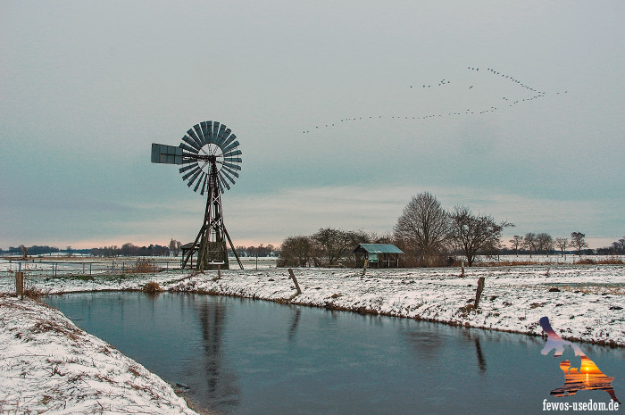 Winter-Kachliner-Schoepfwerk
