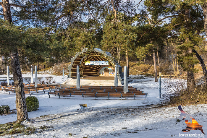 Winter-trassenheide-konzertmuschel