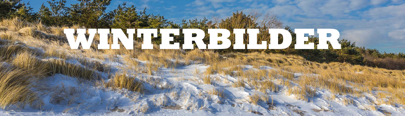 Winterbilder-Usedom