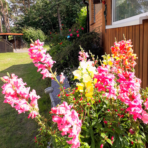 fewo-loddin-usedom-werner5 fewo-loddin-usedom-werner5