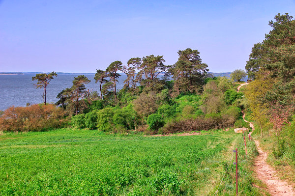 fewo-loddin-usedom-werner8 fewo-loddin-usedom-werner8