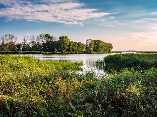 usedom-achterwasser