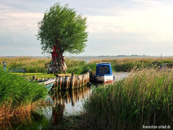 achterwasser-ostsee-urlaub achterwasser-ostsee-urlaub