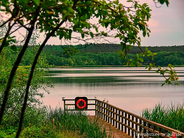 koelpinsee-see-usedom koelpinsee-see-usedom